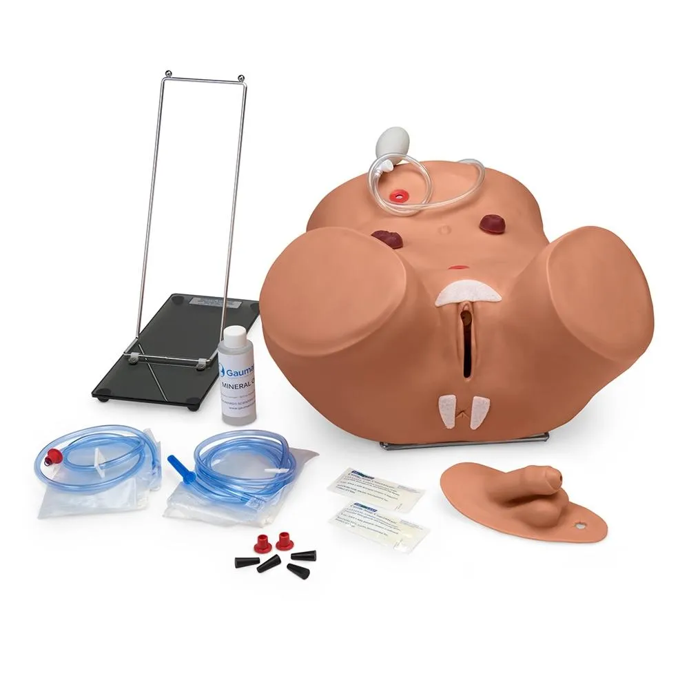 Advanced Patient Care Male and Female Catheterization Simulator, Dark