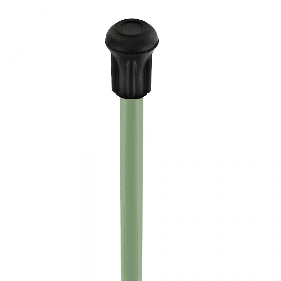 Lady Bug Lola Signature Carbon Fiber Walking Cane - 1 Sage Green Shaft