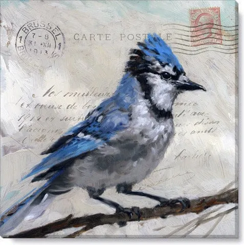 Messenger Blue Jay Giclee Wall