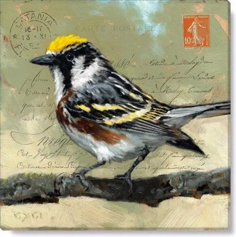 Messenger Warbler Giclee Wall